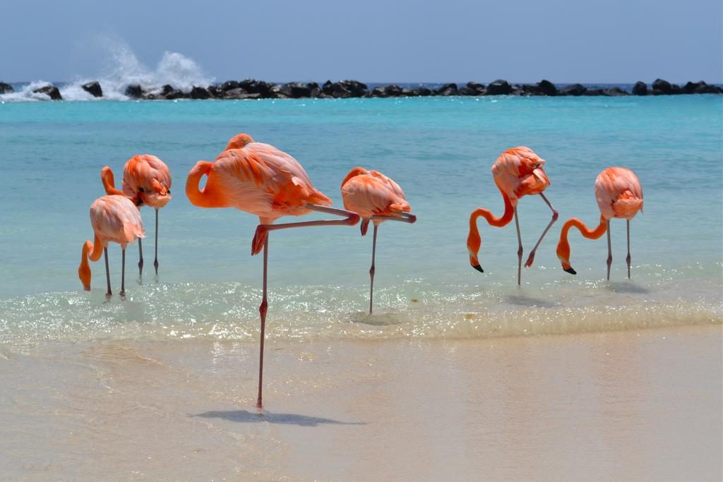 Renaissance Resort Aruba