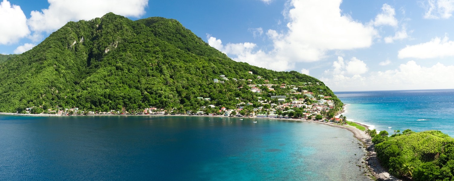dominica-scotss-head