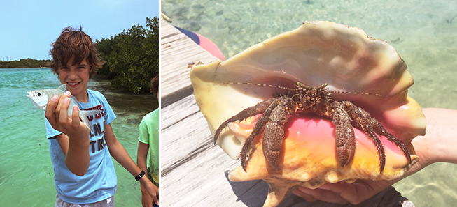 conch