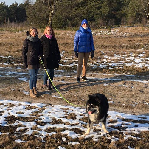 bosco-wandelen bosco-wandelen