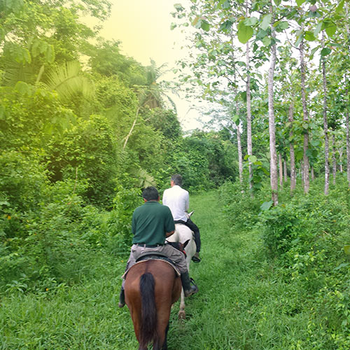 frank-paard-belize frank-paard-belize