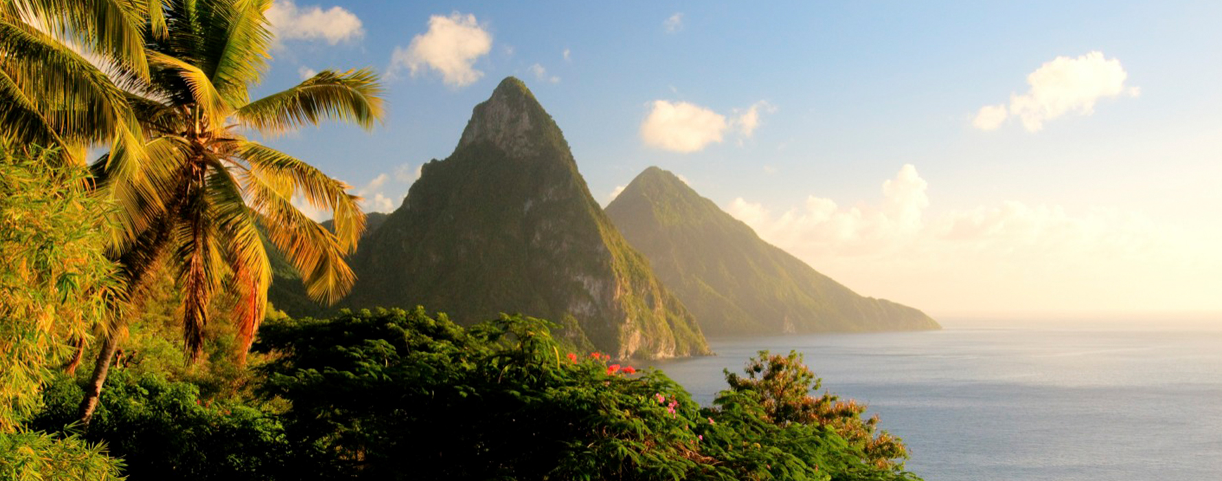 slu-header