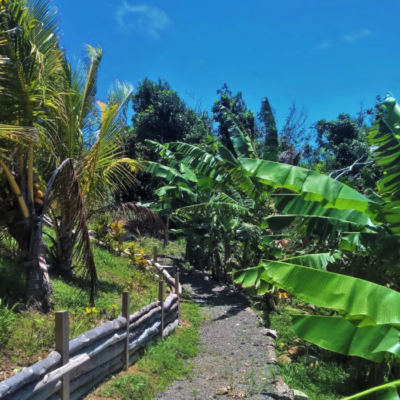 Wanderlust Dominica